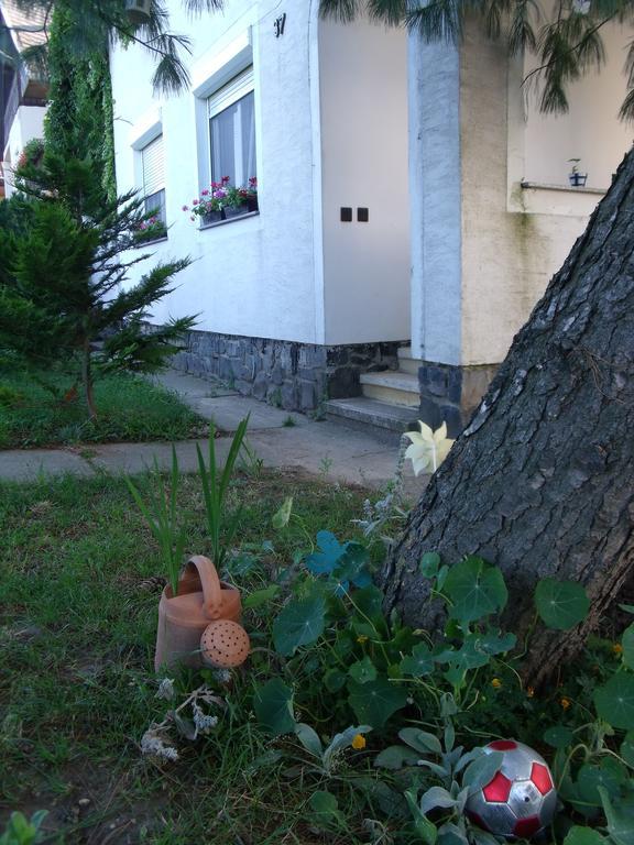 Viola Vendeghaz Lägenhet Kehidakustány Exteriör bild
